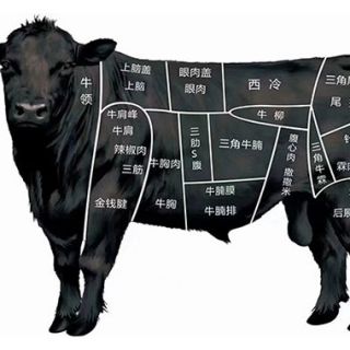 原材料剖析圖 