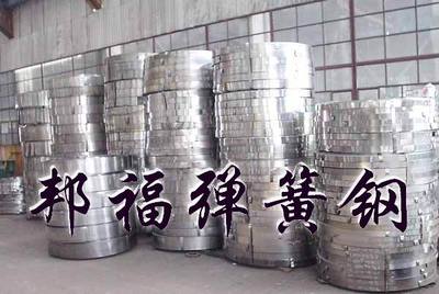 C101E進(jìn)彈簧鋼帶C101E彈簧鋼廠家圖片_高清圖_細(xì)節(jié)圖-東莞市長(zhǎng)安福金屬材料行 -